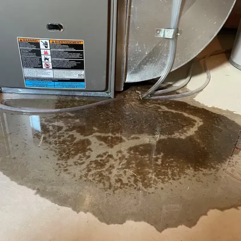 Appliance Leak Cleanup in Crossett, AR